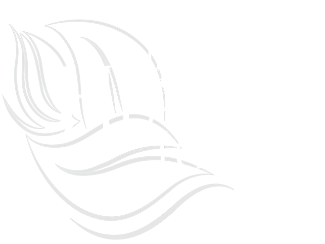 Footer logo of The Healing Lounge
